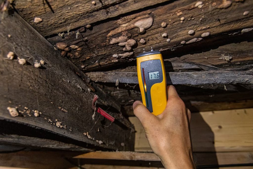 mould damage being tested