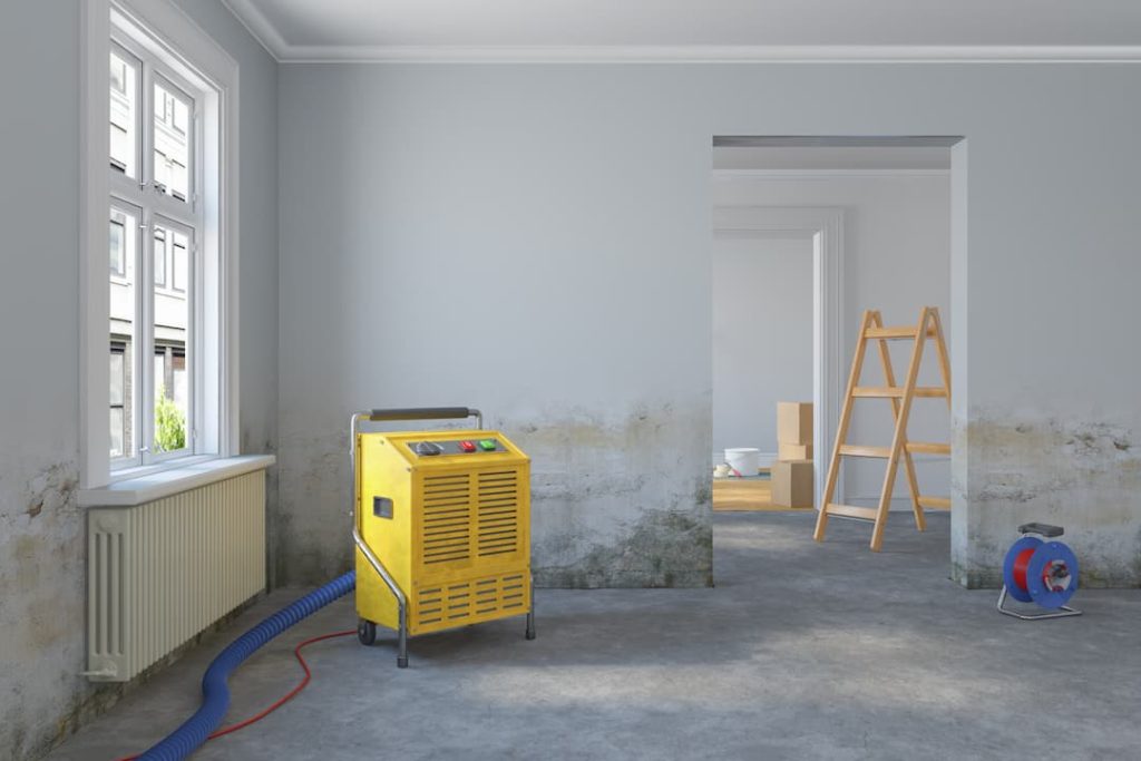 extractor fan taking moisture out walls
